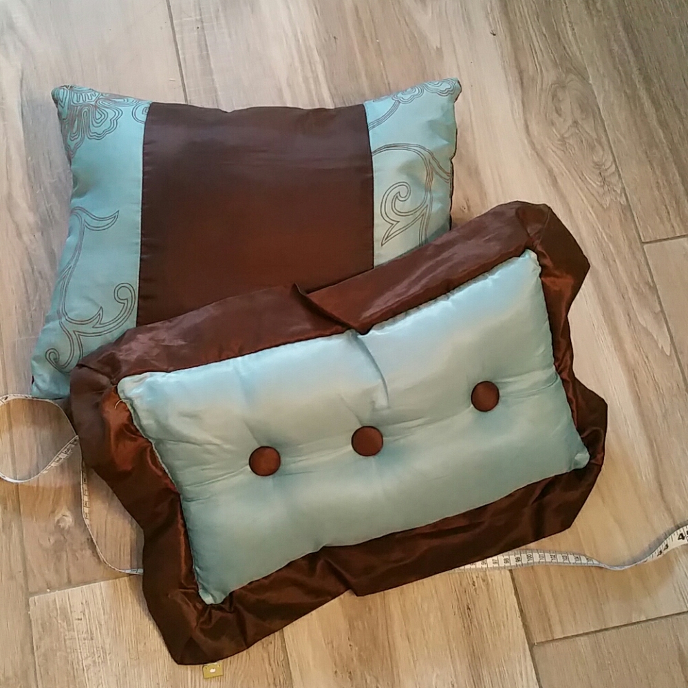 2 Accent Pillows
